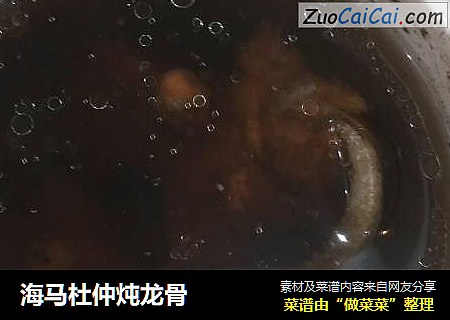 海马杜仲炖龙骨