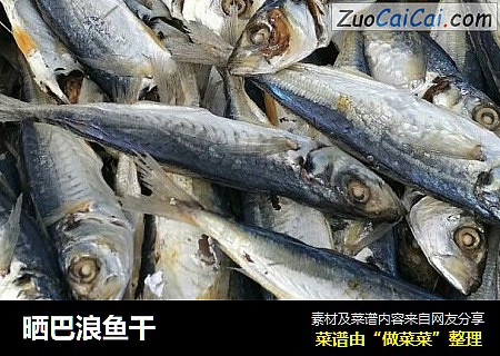 晒巴浪鱼干