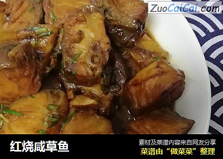红烧咸草鱼