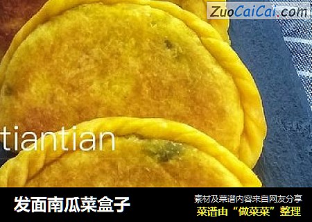 发面南瓜菜盒子