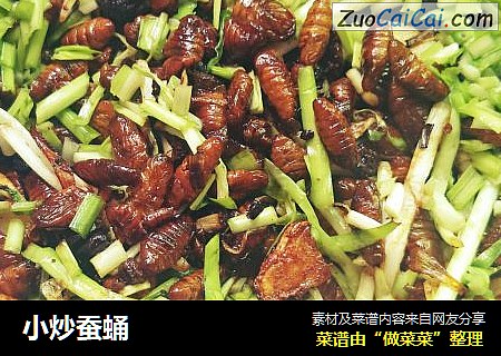 小炒蚕蛹