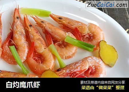 白灼鹰爪虾