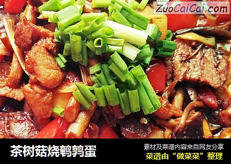 茶树菇烧鹌鹑蛋