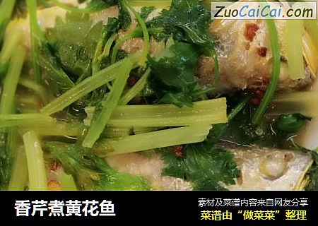 香芹煮黄花鱼