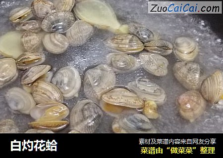 白灼花蛤