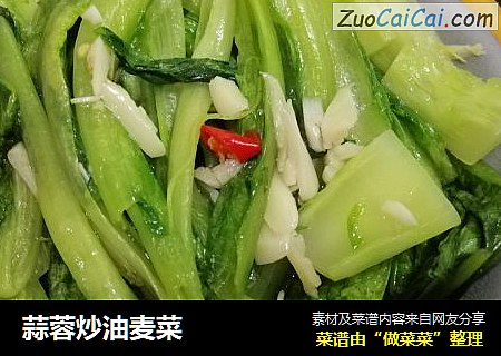 蒜蓉炒油麦菜
