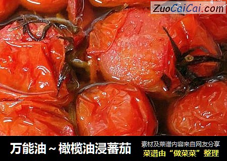 万能油～橄榄油浸蕃茄