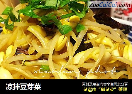 凉拌豆芽菜