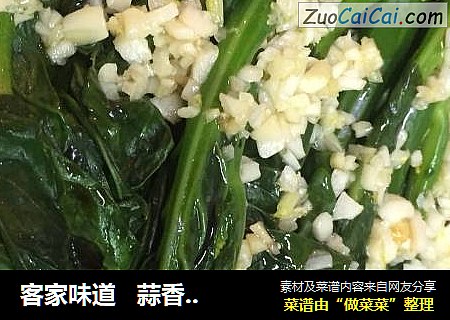 客家味道   蒜香芥兰