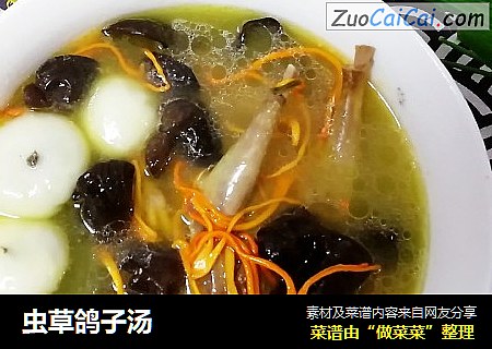 虫草鸽子汤