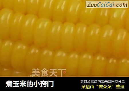煮玉米的小窍门