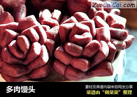 多肉馒头