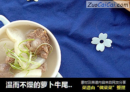 温而不燥的萝卜牛尾清汤