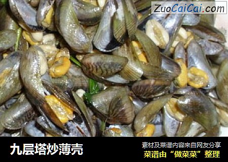 九层塔炒薄壳