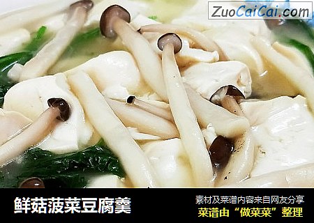 鲜菇菠菜豆腐羹
