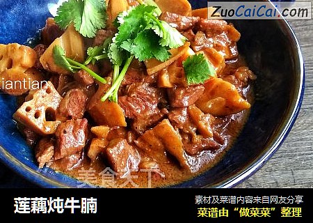 莲藕炖牛腩