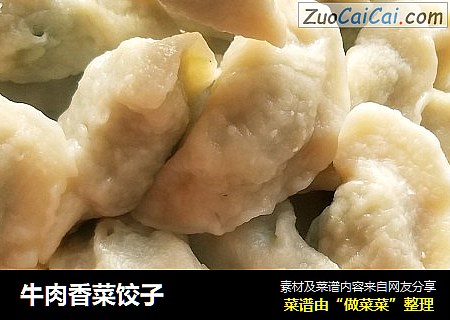 牛肉香菜饺子