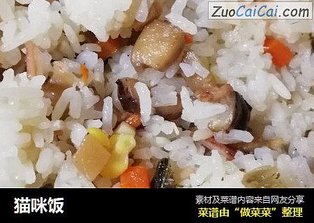 猫咪饭