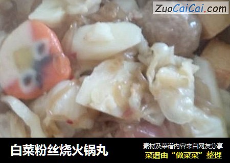 白菜粉丝烧火锅丸