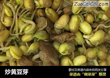 炒黄豆芽