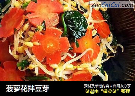 菠萝花拌豆芽