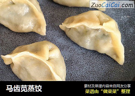 马齿苋蒸饺