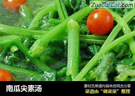 南瓜尖素汤