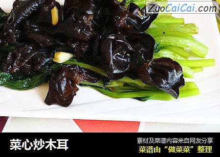 菜心炒木耳
