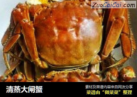 清蒸大闸蟹