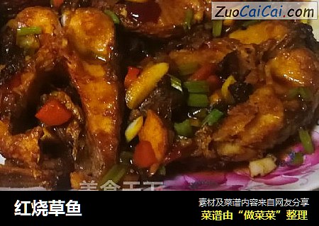 红烧草鱼