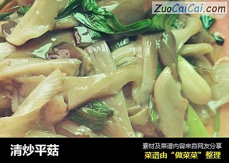 清炒平菇