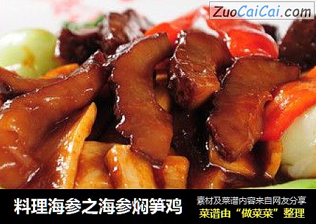 料理海参之海参焖笋鸡