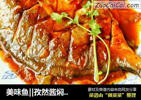美味鱼||孜然酱焖鲳鱼