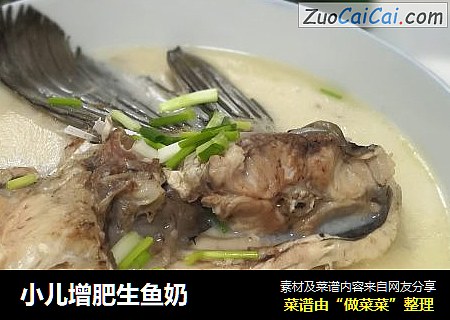 小儿增肥生鱼奶