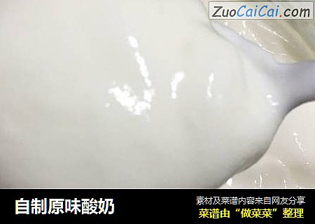 自制原味酸奶