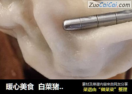 暖心美食  白菜猪肉饺