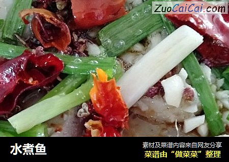 水煮鱼