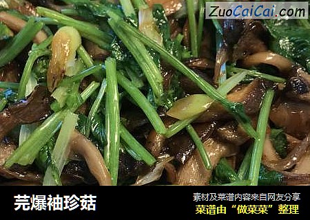 芫爆袖珍菇