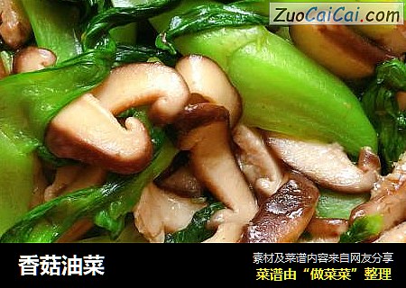 香菇油菜