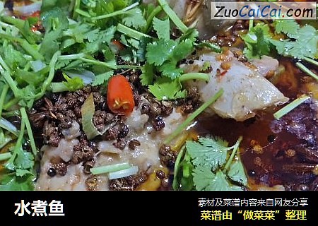 水煮鱼
