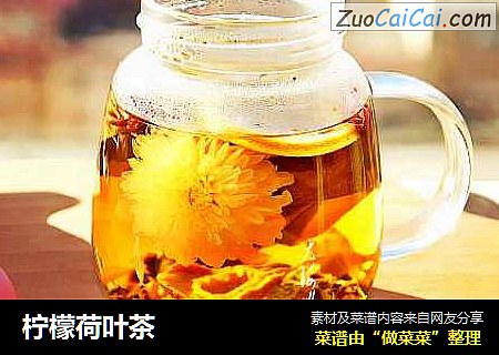 柠檬荷叶茶
