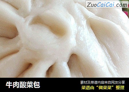 牛肉酸菜包