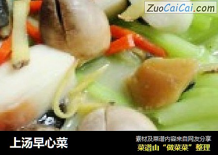 上汤早心菜