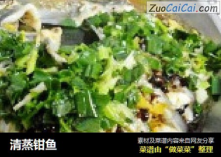 清蒸钳鱼