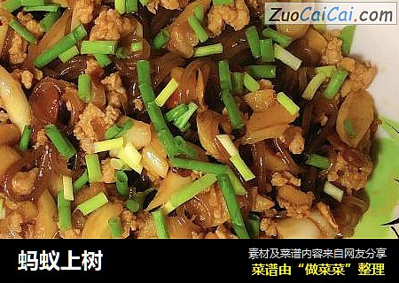 蚂蚁上树