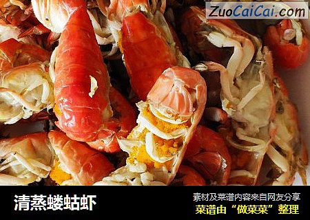 清蒸蝼蛄虾
