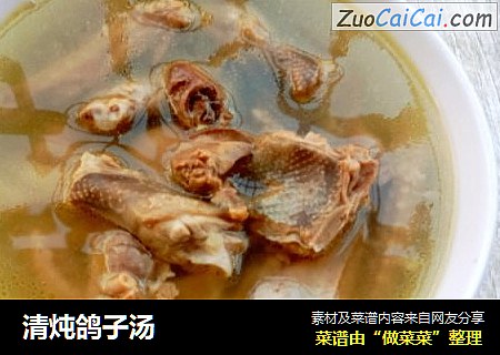 清炖鸽子汤