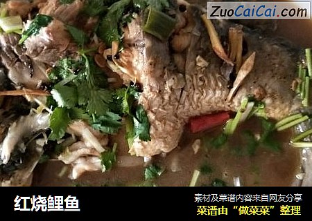红烧鲤鱼