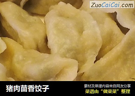 猪肉茴香饺子