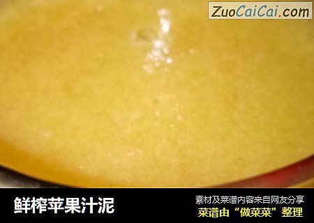 鲜榨苹果汁泥